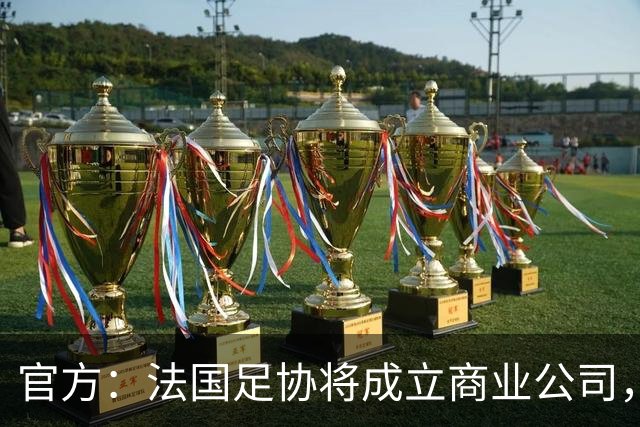 官方：法国足协将成立商业公司，管理法甲、法乙及其商业权益